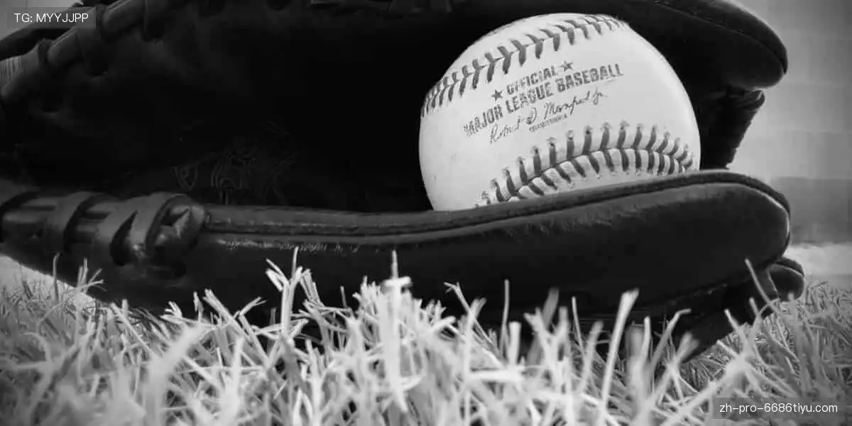 专业周边，品质之选！🎾